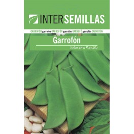 Semente de feijão Garrofón Valenciano Peladilla