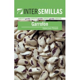 Semente de feijão Garrofón Valenciano Pintado