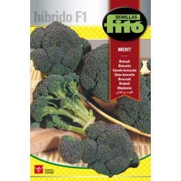 Graine de Brocoli Merit F1 (hybride).