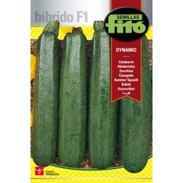 Semente de abobrinha Dynamic F1 (híbrido)
