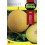 Graine de Melon Fimel F1 (hybride).