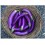 Semente de Repolho espigall, brotonera o del fadrí (orgânico)