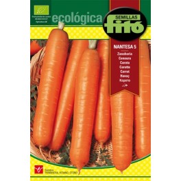 Semente de cenoura Nantesa (orgânica)