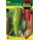 Semilla pimiento dulce italiano (ecológica)