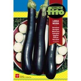 Graine d'Aubergine Noire Longue.