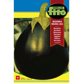 Graine d'Aubergine Noire Ronde et Lisse.