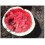 Semente de tomate ficar Mala Cara (orgânico)