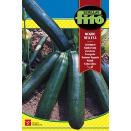 Semilla Calabacín negro Belleza