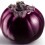 Graine d'aubergine Jessy F1 (hybride) (1 000 graines)