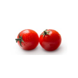 Graine tomate Lazarino F1 (hybride) (1 000 graines)