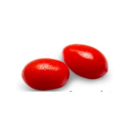 Graine tomate Summerbrix F1 (hybride) (1 000 graines)