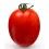 Graine tomate SF 2024 F1 (hybride) (1 000 graines)