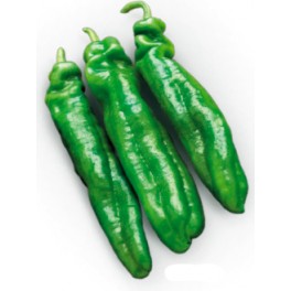 Semente de pimenta Almanzo F1 (híbrida) (1.000 sementes)