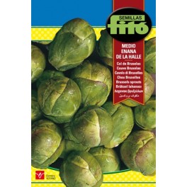 Llavor Col de Brussel·les enana