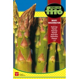 Semilla Espárrago Mary Washington