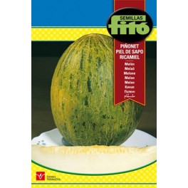 Semente de melão Pele de Sapo ou Piñonet
