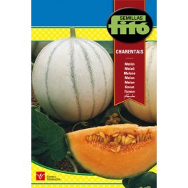 Semente de melão Cantalup Charentais