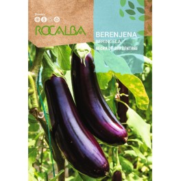 Semilla berenjena Negra de Barbentane