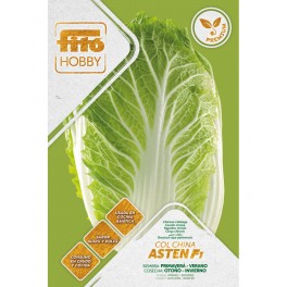 Llavor col xinesa Asten F1 (híbrida)