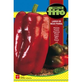 Graine de Poivre Long de Reus.