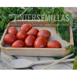 Semilla tomate Diezmil97 F1 (híbrida) (pera grande) (1.000 semillas)