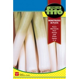 Semente de alho-francês Monstruoso de plata