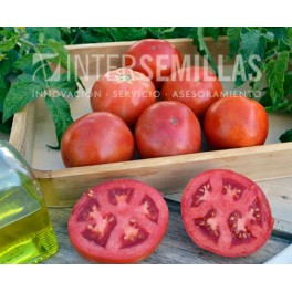 Semilla tomate Yechar F1 (híbrida) (Beef gruesso) (1.000 semillas)