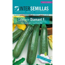 Semente de abobrinha Diamant F1 (híbrida) (verde médio) (1.000 sementes)