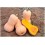 Graine citrouille CZA-10008 F1 (hybride) (violon lisse)  (1.000 Graine)
