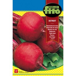 Semente de beterraba Detroit