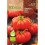 Semilla tomate Marmande (ecológica) (100 gr)