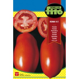 Semilla tomate Roma