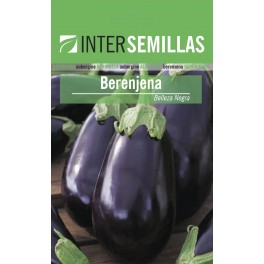 Llavor Albergínia bellesa negre (100 gr)