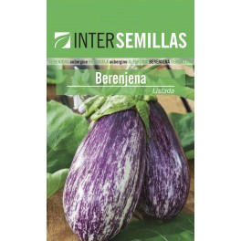 Llavor Albergínia llistada de Gandia (100 gr)