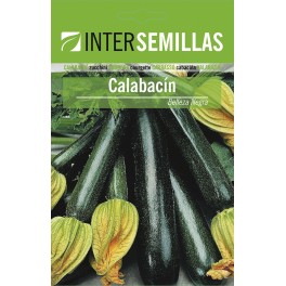 Semilla calabacín negro belleza