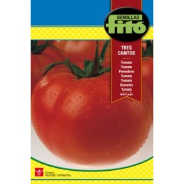Semilla tomate Tres cantos