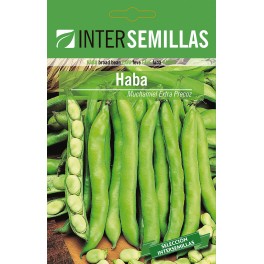 Llavor fava Mutxamel Extra Primerenc