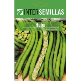 Semilla haba SuperAguadulce