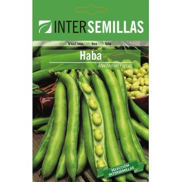 Semente de fava Muchamiel precoce