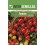 Llavor tomàquet Red cherry (100 gr)
