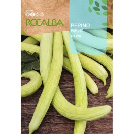 Graines de Concombre Alficoz (cucumis flexuosus)