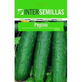 Semente de pepino Ashley