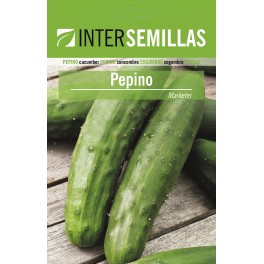 Semilla Pepino Marketer