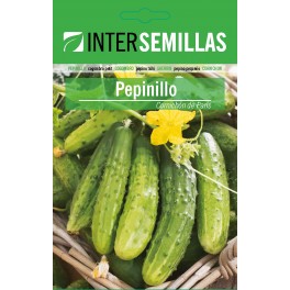Semente de pepino Cornichon de Paris