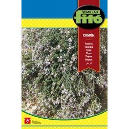 Semente de tomilho
