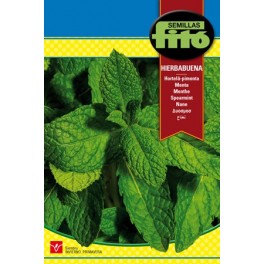 Llavor Menta
