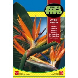 Llavor Ave del paraíso (Strelitzia)