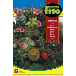 Semilla cactus y planta crasa variada