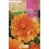 Bulb de dalia a granel Rocalba (unitat)