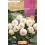 Bulb de dalia mini Rocalba (unitat)